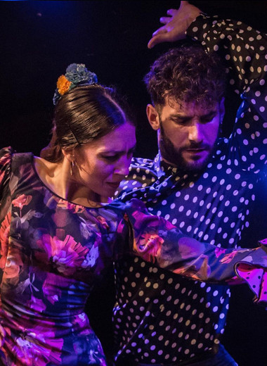 cheap flamenco show madrid