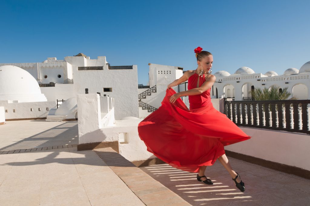 tipos de flamenco